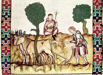 Fol.237r En bonde lærer sønnen å pløye en åker