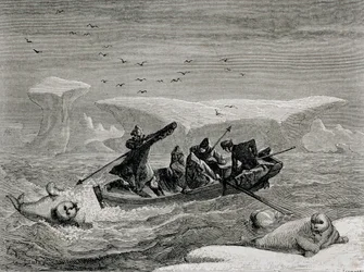 Jakt på hvalross med harpuner på Spitsbergen, Svalbard, illustrasjon fra 