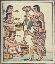 Fru Palat. 218-220 En aztekisk fest, fra den florentinske kodeksen av Bernardino de Sahagun, ca. 1540-85