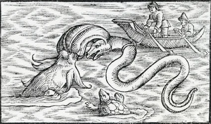 Sjømonstre, 1511