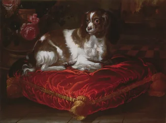 Spaniel på en pute