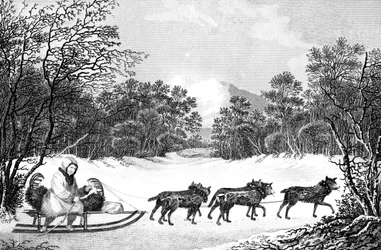 Måten å reise om vinteren i Kamtschatka, 1800-tallet.