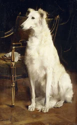En Borzoi ved en stol