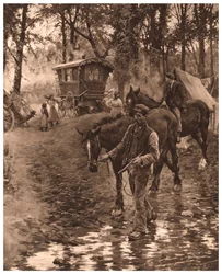 Nomads, 1903.
