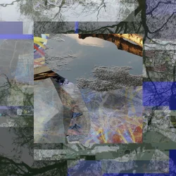 Refleksjon av et fragmentert tre