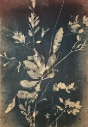 Vintageblå botaniske motiver