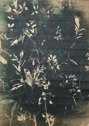 Vintage botaniske silhuetter