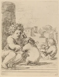 Barn som leker med en hund.