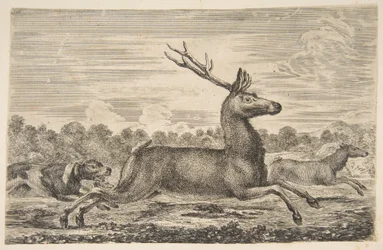 Hunder som jager en hjort og en doe, ca. 1654.