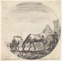 Plate 11: pyramiden til Caius Cestius til høyre i bakgrunnen, en hest som beiter ..., ca. 1643-48.