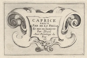 Plate 1: A cartouche with series title, from 