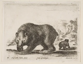 Plate 4: bjørn, fra 