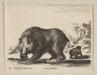 Plate 4: bjørn, fra 
