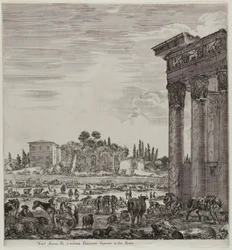 Antonins tempel og Campo Vaccino