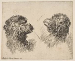 To kamelhoder, ca. 1641.