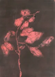 Løvverk I, 2015 (monotrykk på papir)