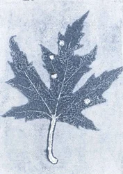 Borte II, 2015 (monotrykk på papir)