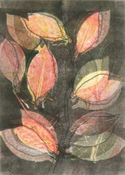 Midnattshage V, 2015
