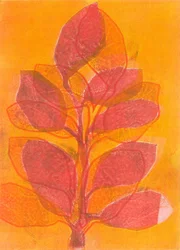 Sommerhage II, 2015 (monotrykk på papir)