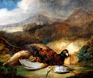 Fasan og morkull i et landlig landskap