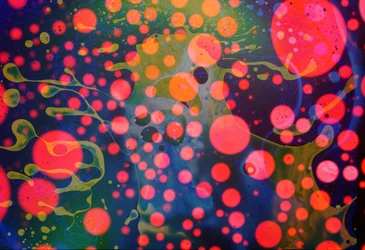 Splattermonsteret, 2024
