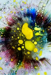 Tie Dye-sprut, 2024