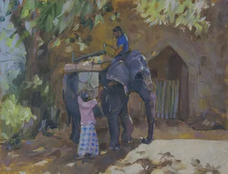 Elephant, Sri Lanka, 2015,