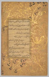 Opplyst folio (vers) fra A Gulistan (rosehage) fra Sa