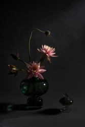 Elegante rosa liljer