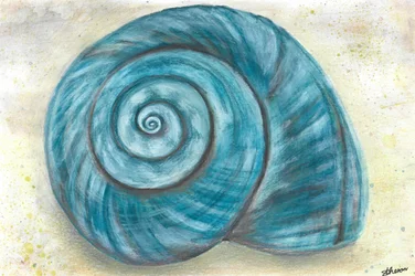 Blåt spiralskjell