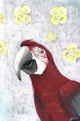 Tropiske araer i full blomst