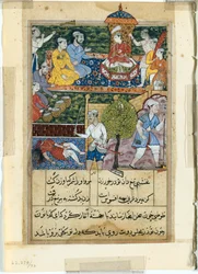 Side fra Tales of a Parrot Tuti-nama: Åttende natt: Den unge prinsen blir kronet..., 1558-1560.