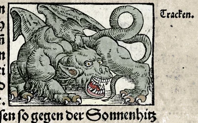 Representasjon av en drage: gravering fra Johann Stumpffs "Den Noble Strict Best Fromen". 1550
