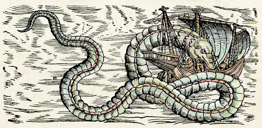 Sea Monster, illustrasjon fra #39;Historiae Animalium#39; av Conrad Gesner