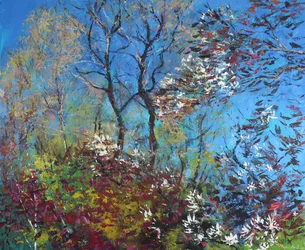 Blomst og blå himmel