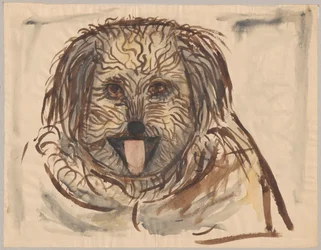 Hode av en hund