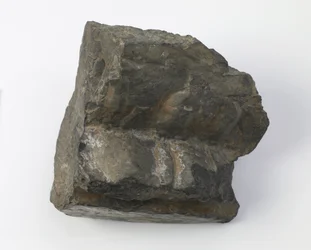 Fragment av en lotussokkel