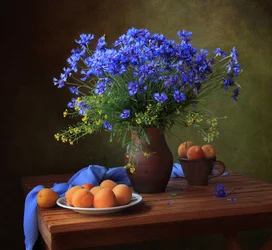 Blå kornblomster og aprikoser