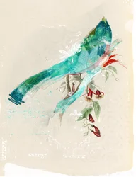 Bird Silhouette, 2017 (Collage på lerret)