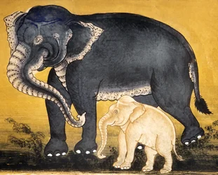 Elefant og kalv, side fra et manuskript om elefanttrening (wc på papir)