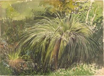 Et hjørne av en eng med Fountaingrass, ca. 1870.
