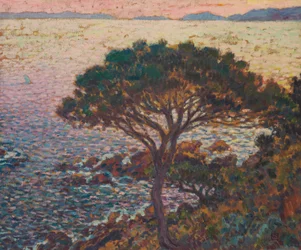 Cap Bénat, furuskog ved kysten