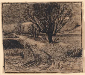 Feltvei ved Lindenborg, vinter