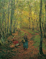 Interiør i skogen med en jente som leter etter sopp
