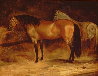 En Bay Horse ved en krybbe, med en grå hest i et teppe