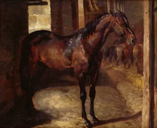 Mørk brun hest i stallen
