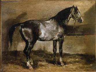Grey Horse at the Ratelier - olje på lerret