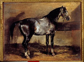 Grey Horse at the Ratelier Maleri av Theodore Gericault (1791-1824) 1800-tallets søn. 0,26x0,34 m