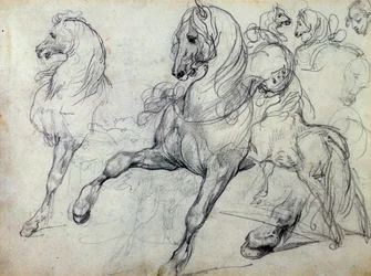 Hester