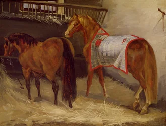 Hester i stallene